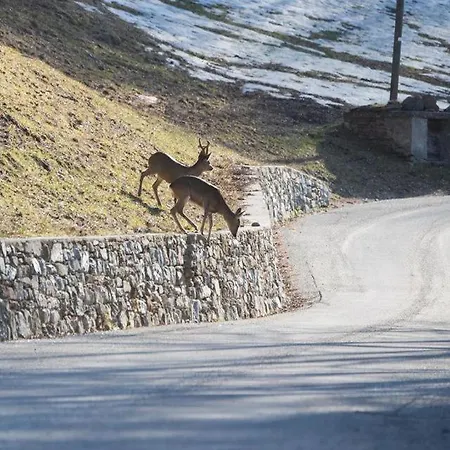 Baita In Montagna